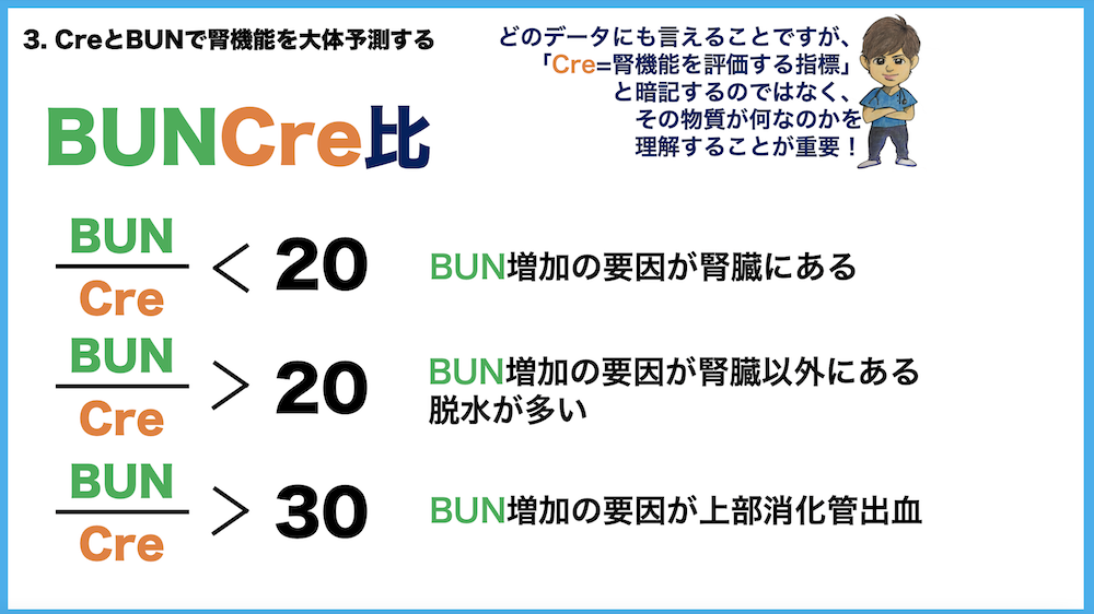チャプター11-4:No.4:BUNとCre