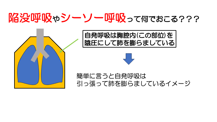 【全5回】呼吸機能の検査:チャプター5-2:No.2:視診での呼吸評価