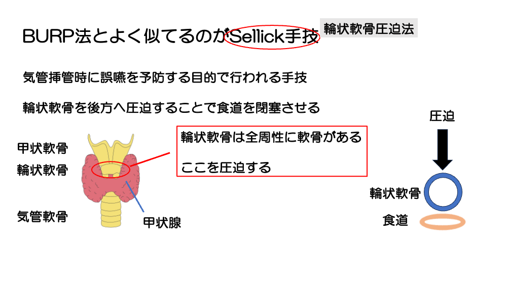 【全4回】その気道、確保できますか？