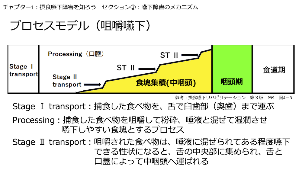 チャプター9-3:No.3:嚥下のメカニズム