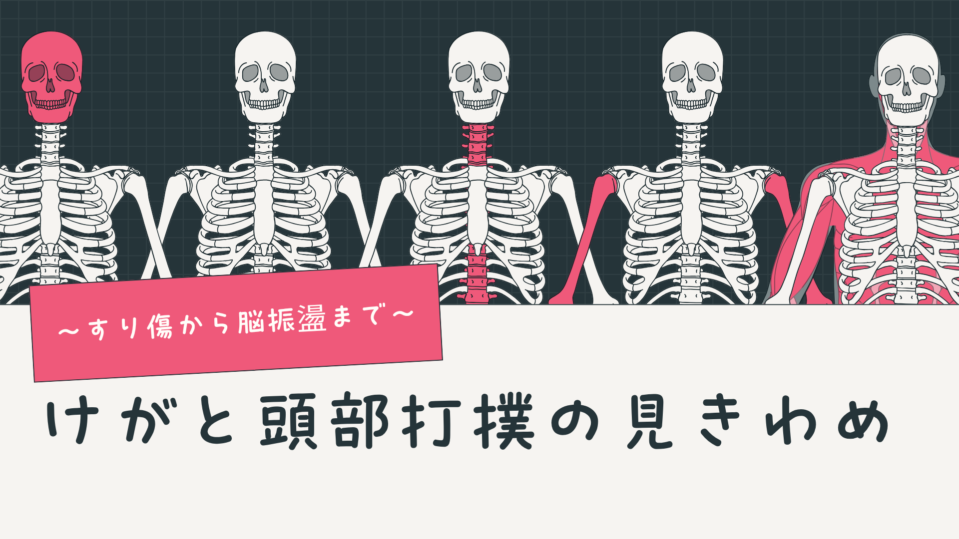 【全4回】けがと頭部打撲の見きわめ
