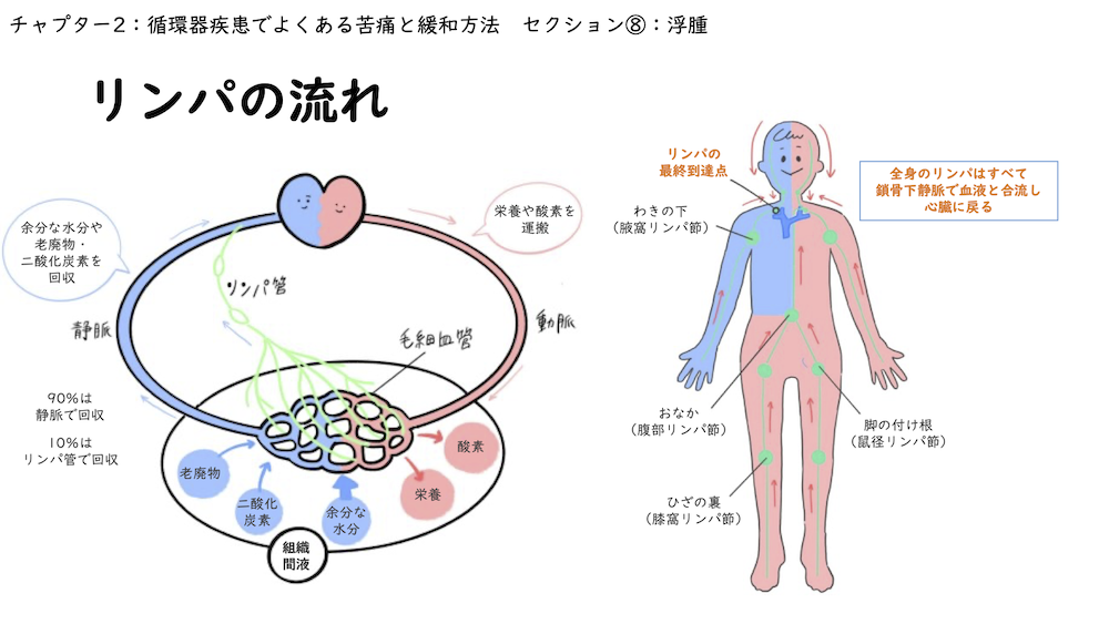 チャプター9-8:No.8:浮腫