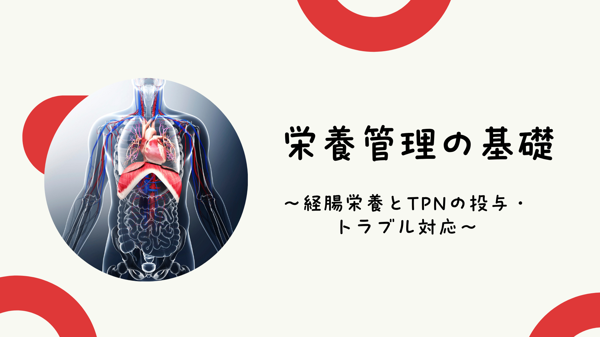 【全5回】栄養管理の基礎