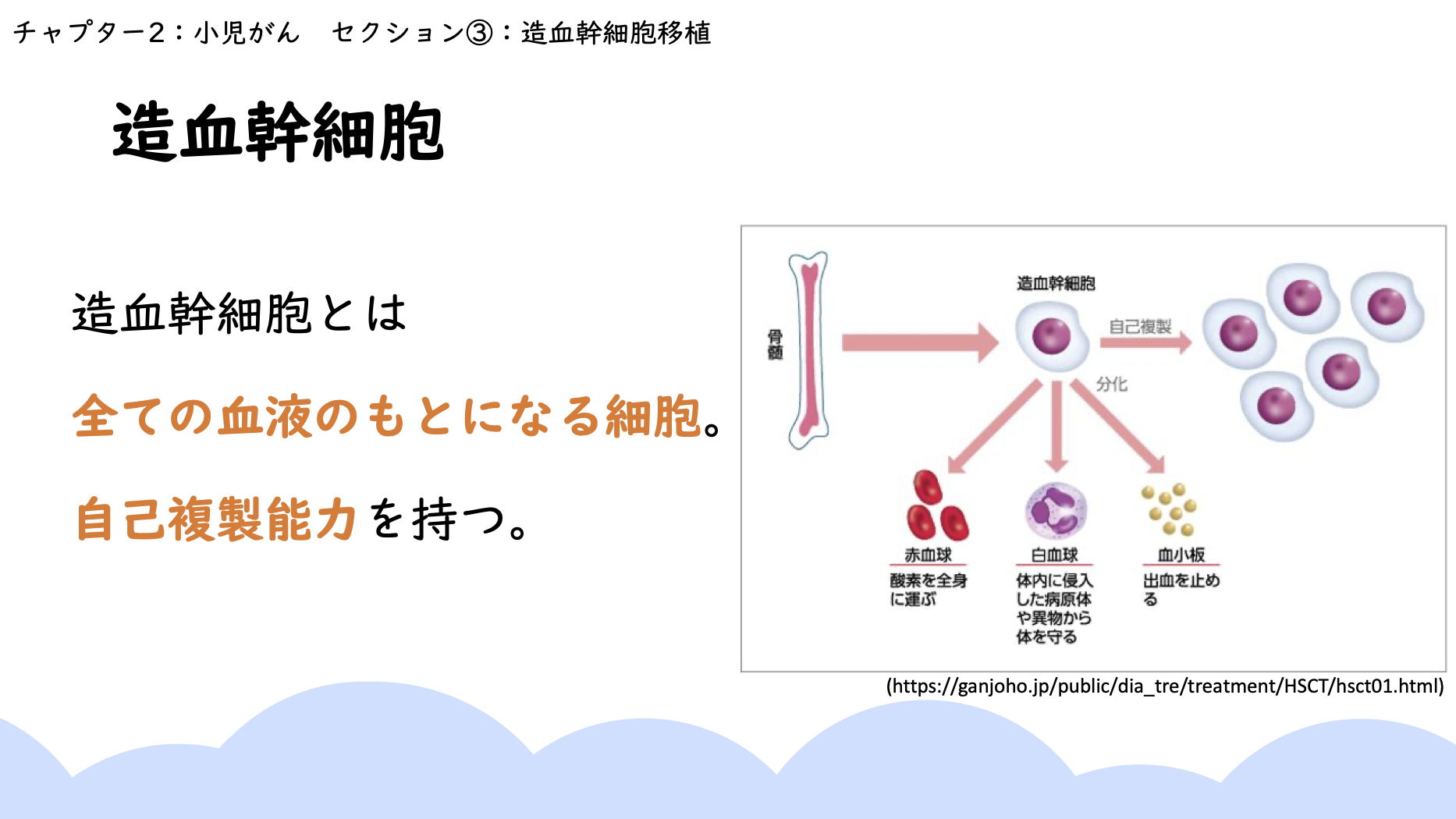 【全9回】がん看護のポイント:チャプター9-6:No.6:造血幹細胞移植