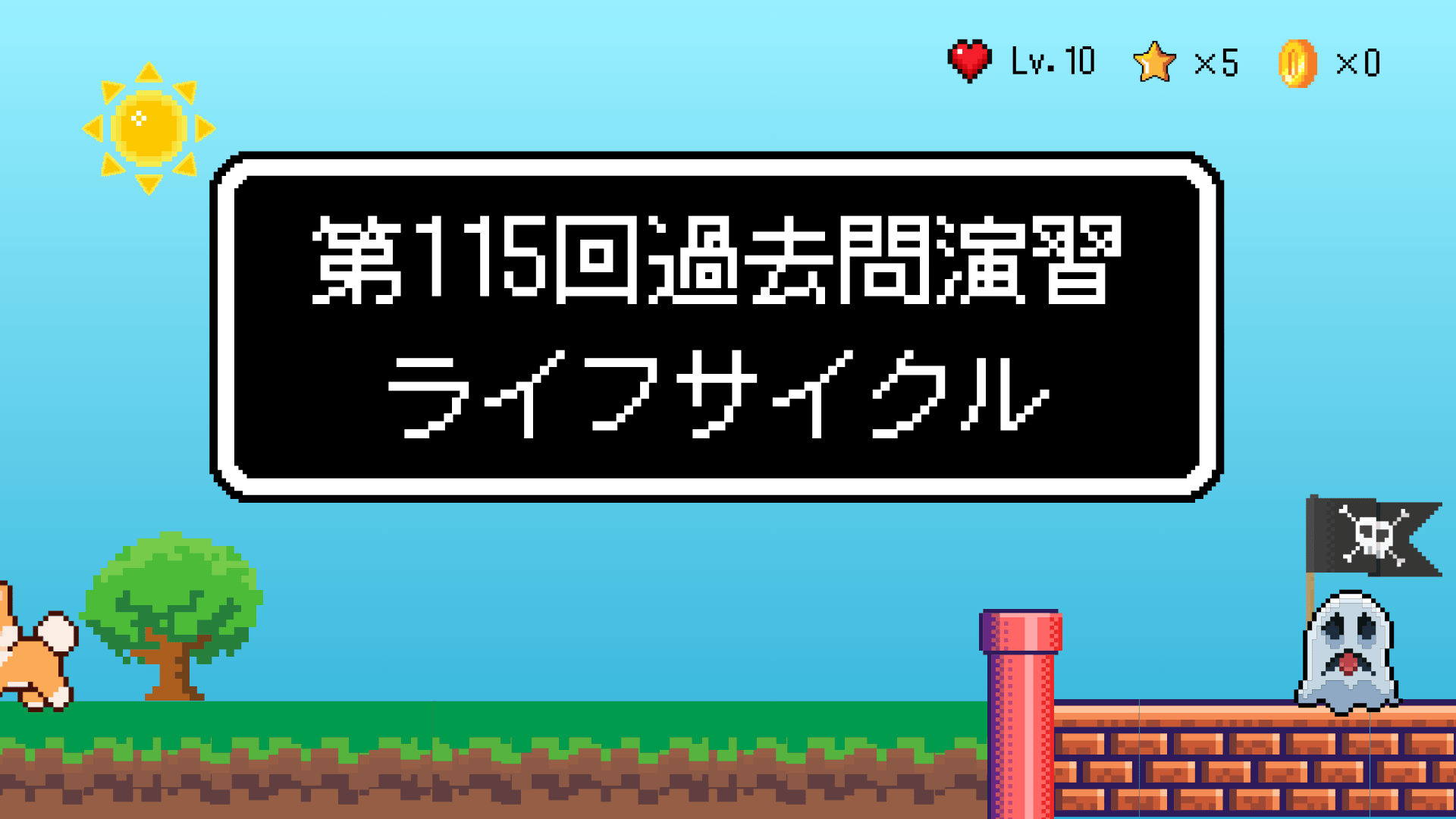 【全5回】第115回過去問演習_ライフサイクル