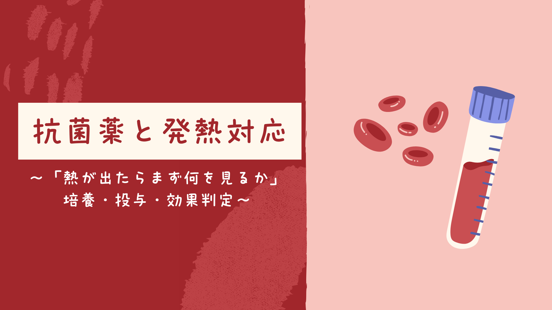 【全5回】抗菌薬と発熱対応